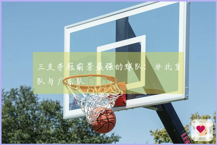 三支夺冠前景最强的球队：非北京队与广东队